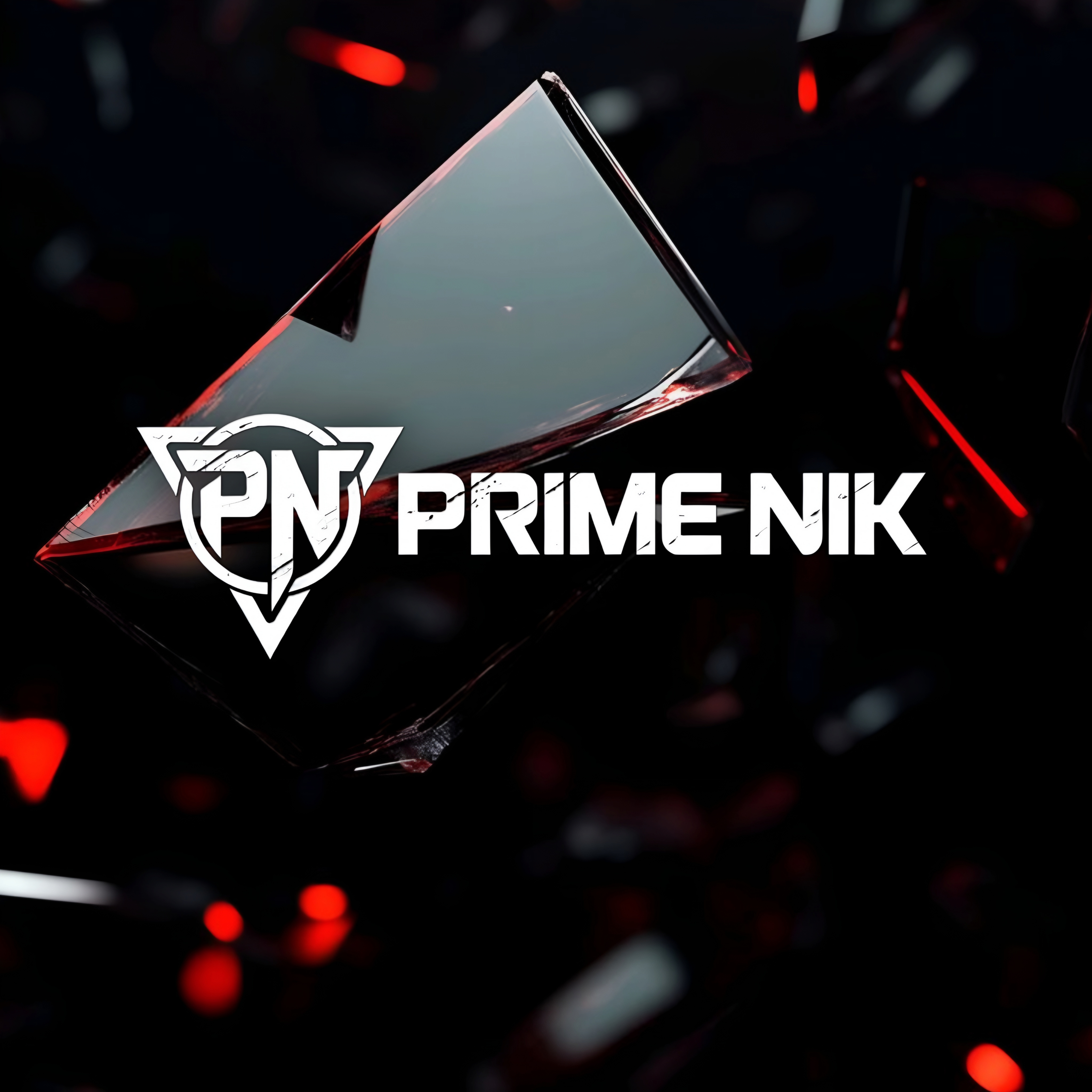 PrimeNik Banner